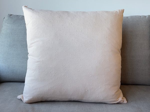 Salmon cushion